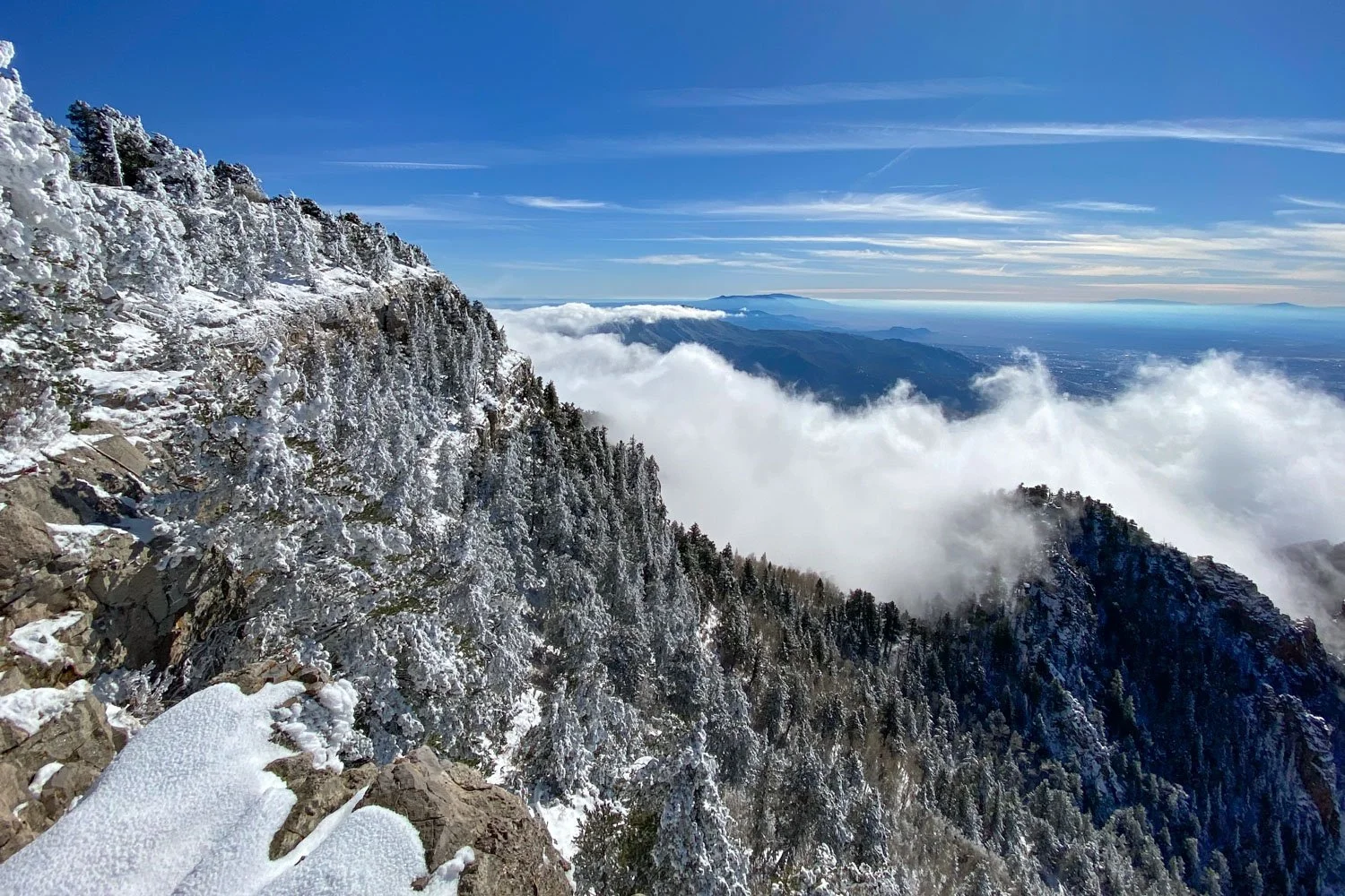 Snow-covered mountain slope with trees, clouds below, and distant mountain and blue sky with wispy clouds.