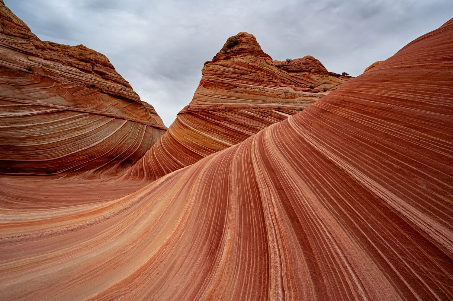 Colorful layered rock formations with curved and striated patterns in a desert landscape at The Wave in Arizona.