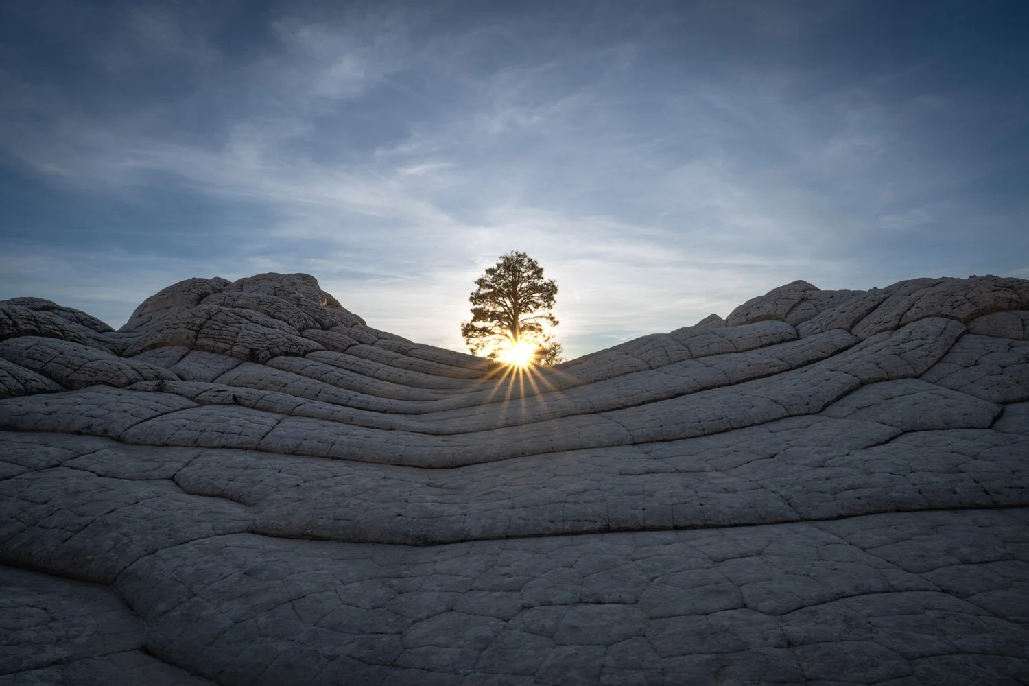 A rocky landscape with layered, cracked white rocks, a lone tree in the distance, and the sun setting behind the tree, creating a starburst effect in the sky.