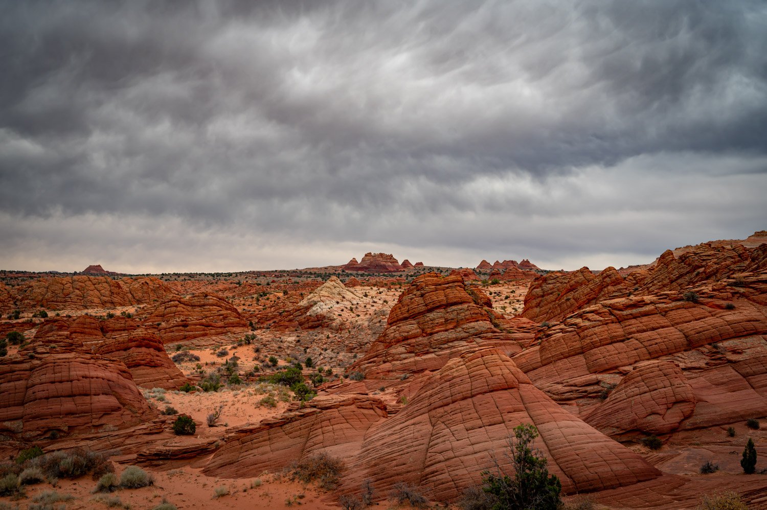 A desert landscape with red rock formations under a cloudy, overcast sky.