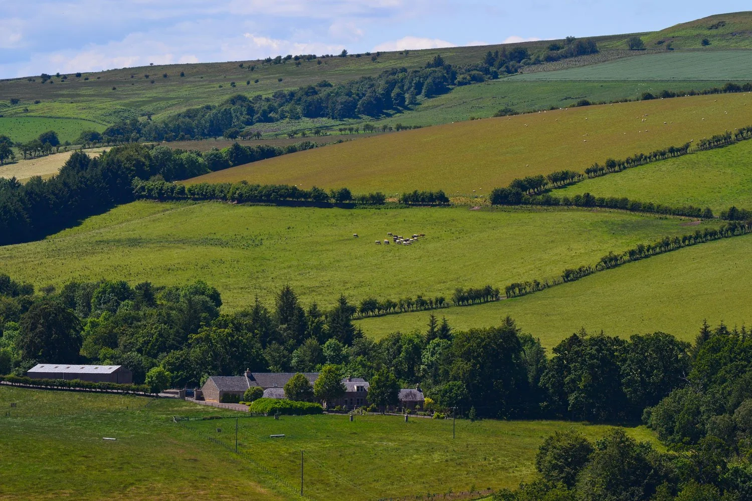 Green rolling hills with patches of trees, dotted with sheep, and a farmstead with stone buildings at the bottom of the landscape.