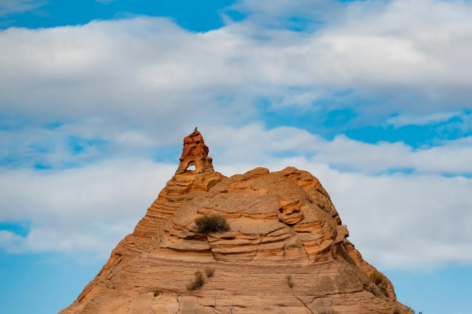 A rocky desert mountain with a natural arch and a bird perched on top, under a blue sky with clouds.