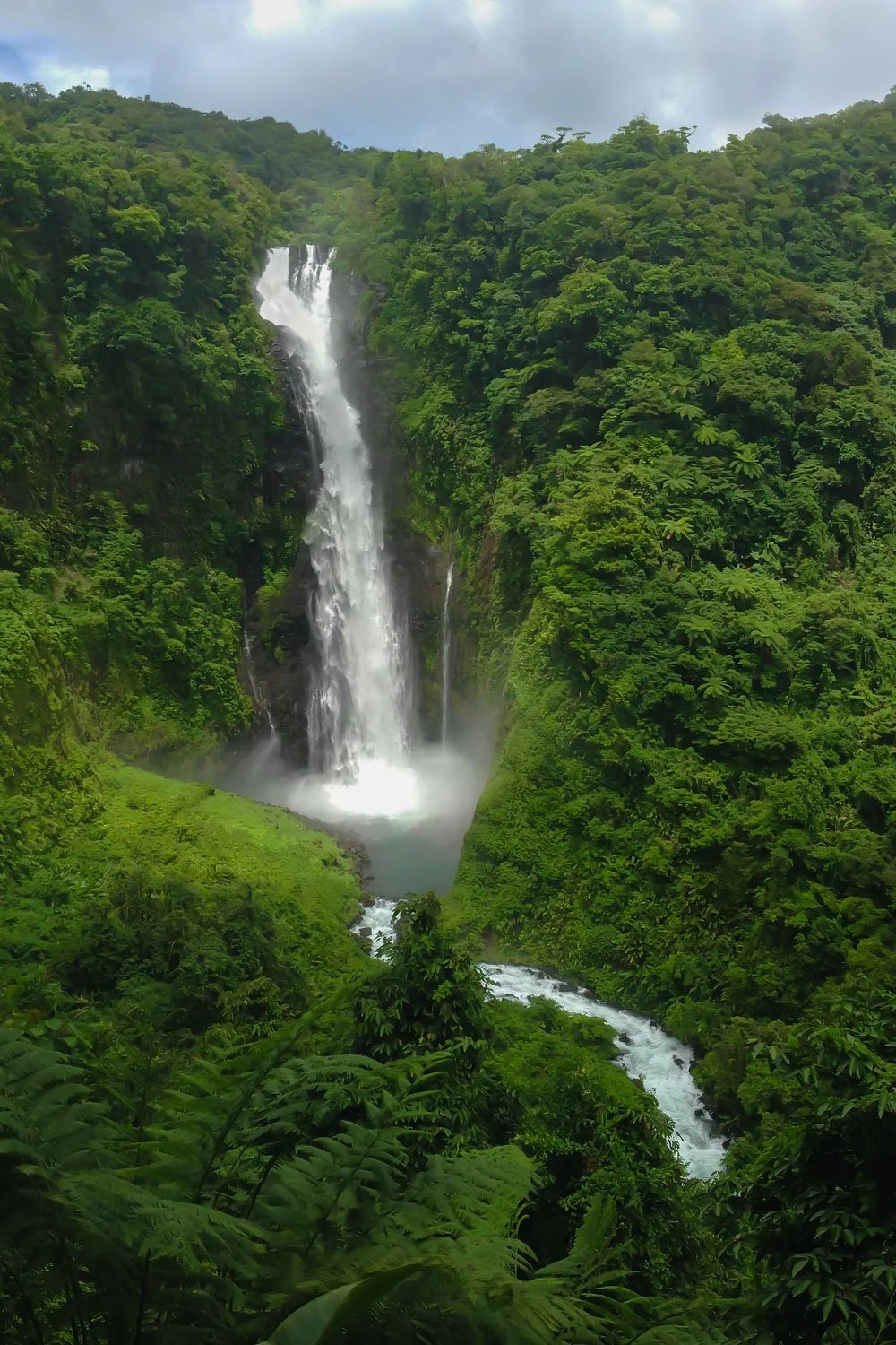 A tall waterfall cascading down a lush, green rainforest cliffside into a river below.