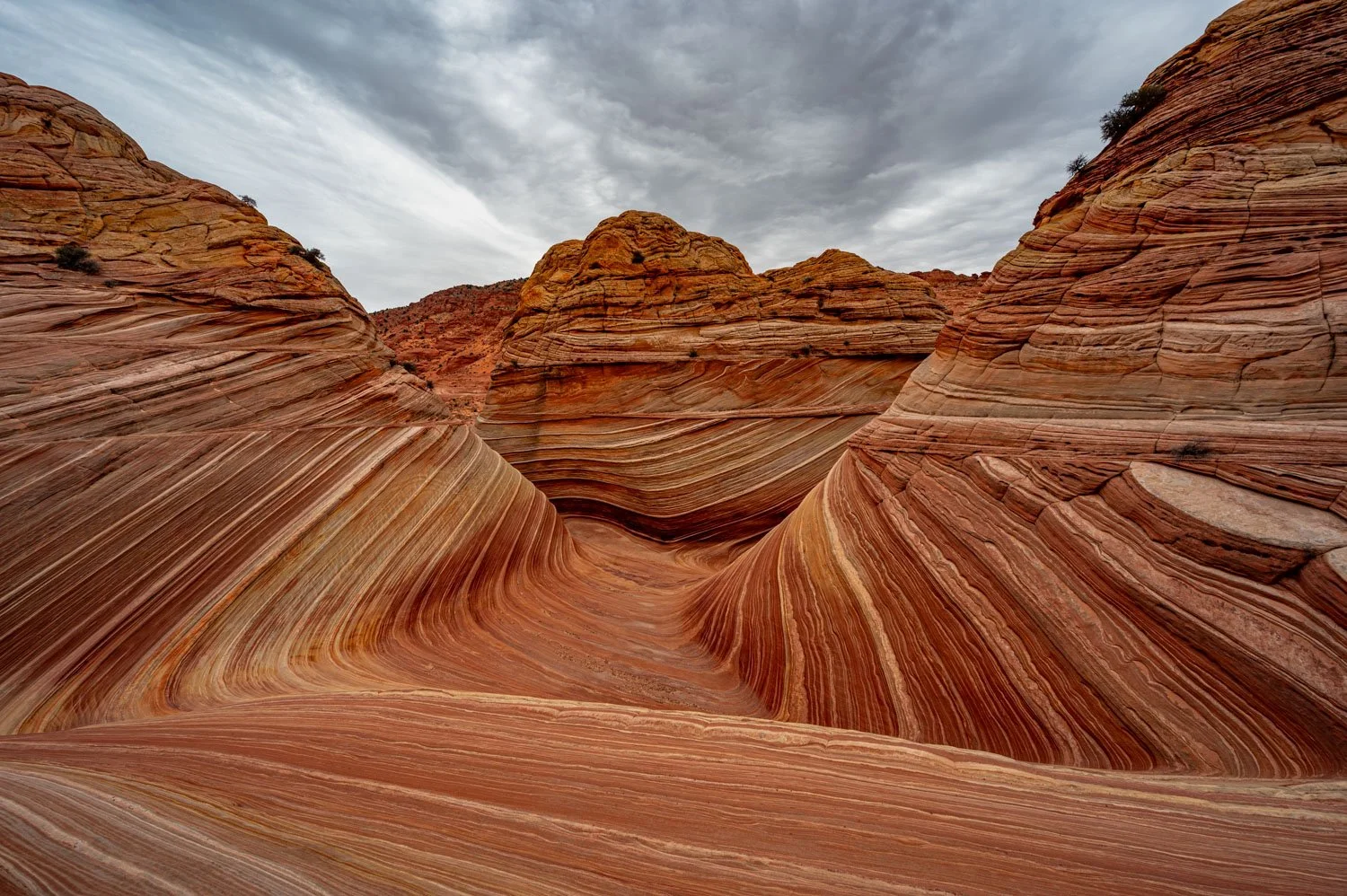 Colorful swirling sandstone rock formations in a desert landscape under a cloudy sky at The Wave in Arizona.