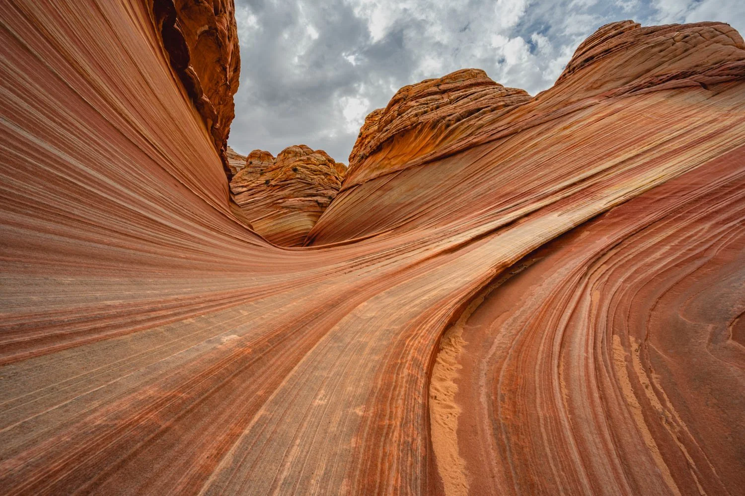 Wavy sandstone formation with layered reddish-brown and tan striations, under a partly cloudy sky at The Wave in Arizona.