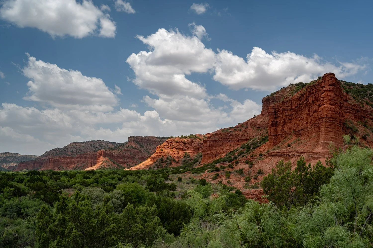 Red rock formations and green desert vegetation under a partly cloudy sky in a desert landscape.