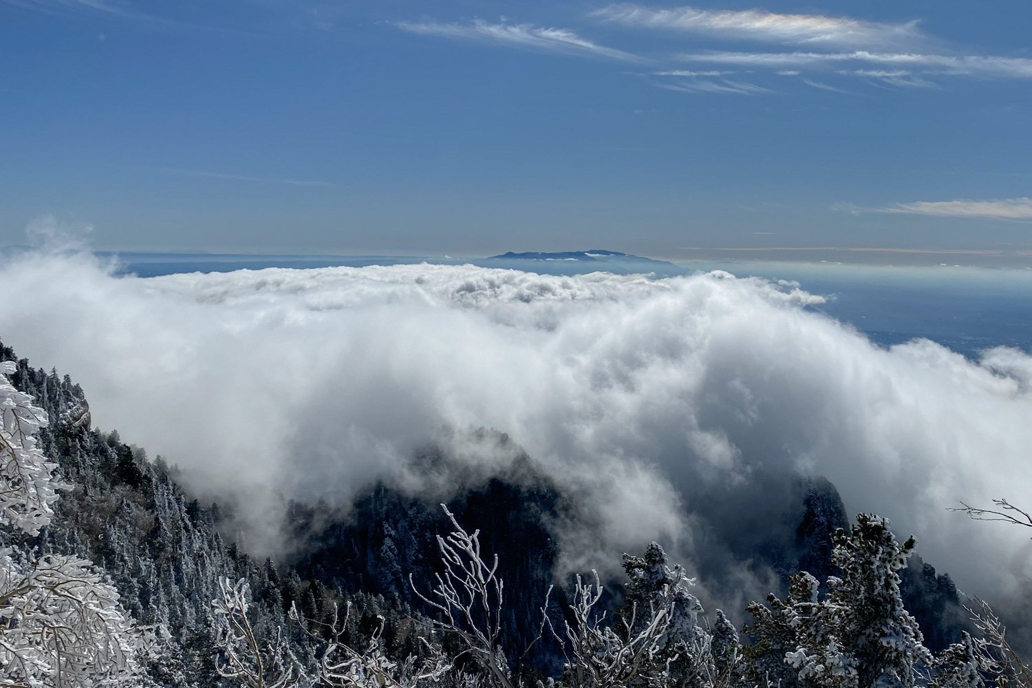 Snow-covered trees on a mountain slope with a thick layer of clouds below, and a clear blue sky with some scattered clouds in the background.