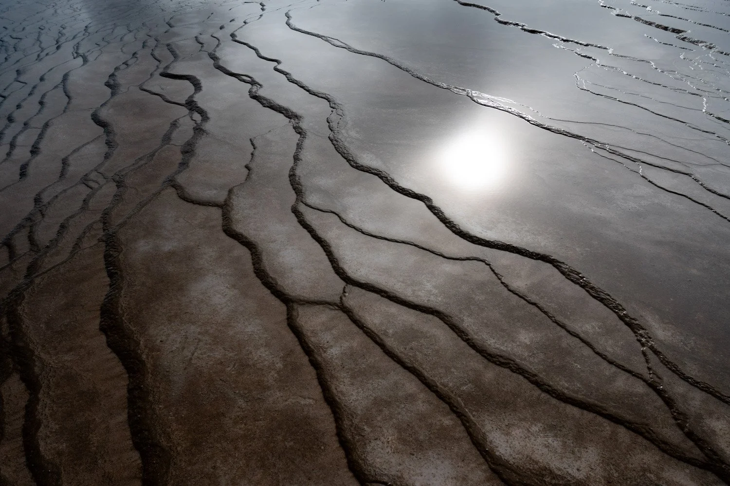 Close-up of a wet, sandy surface with dark, meandering cracks and a reflection of sunlight.