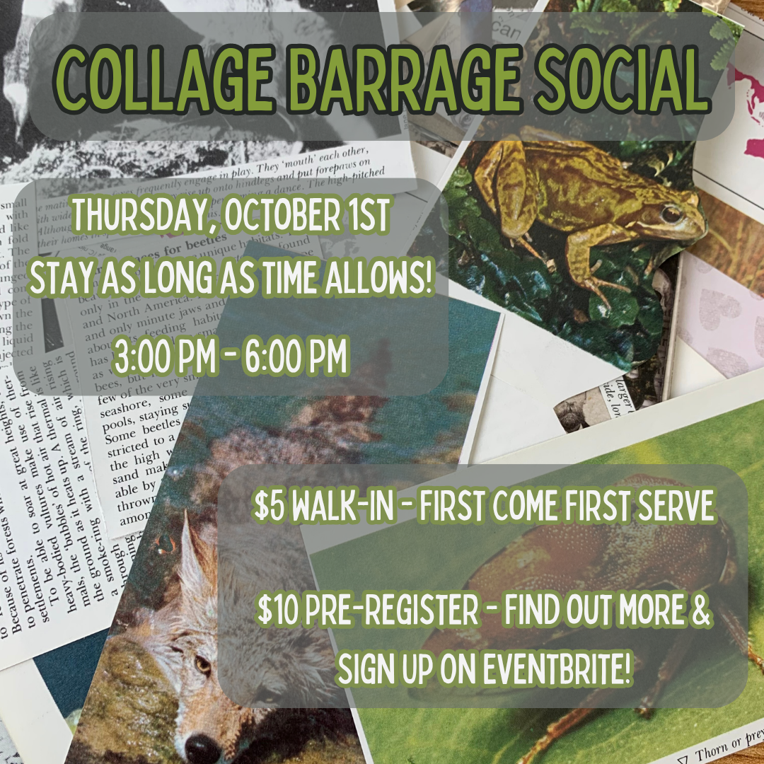 Collage Barrage Social!