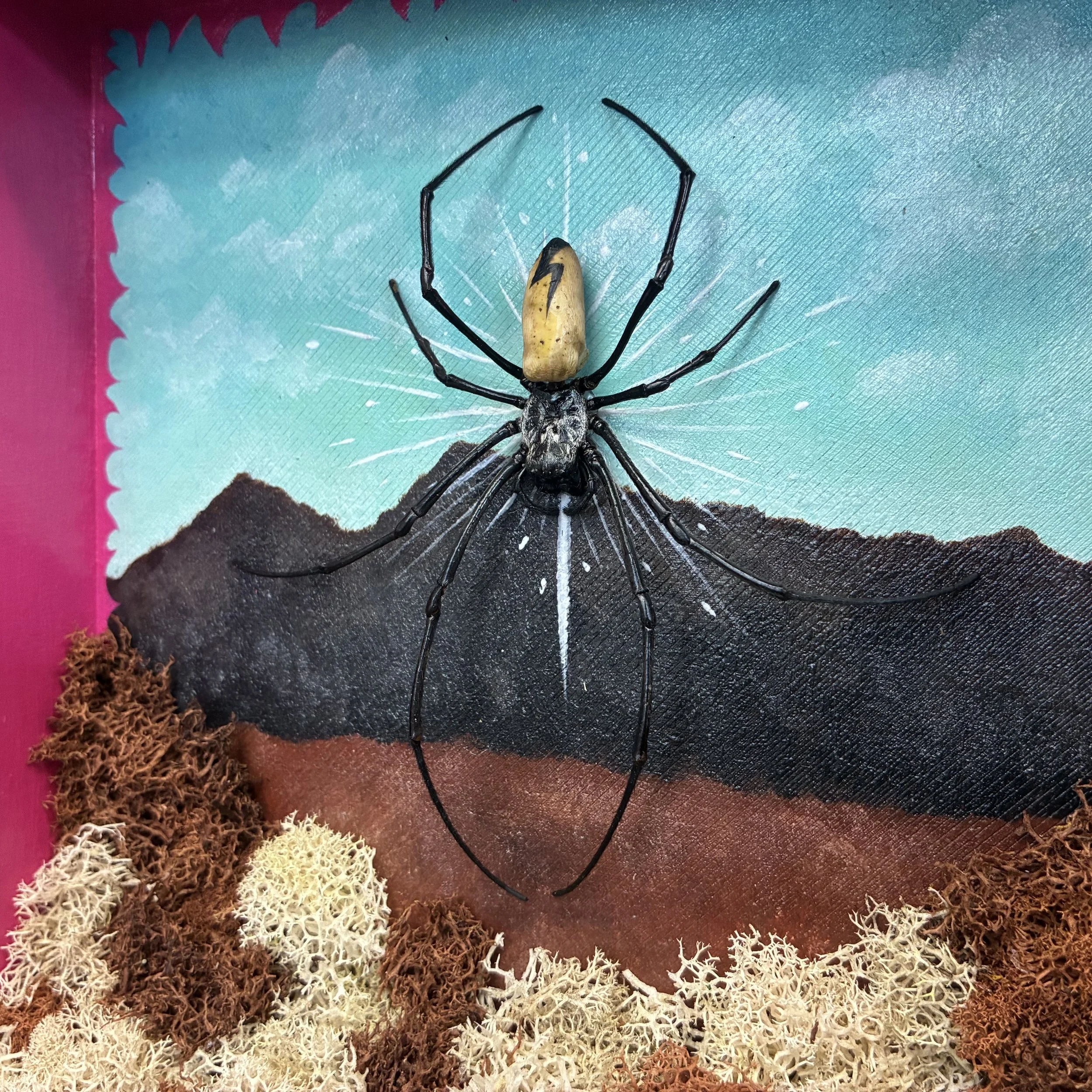 Displays, Dioramas, & Terrariums