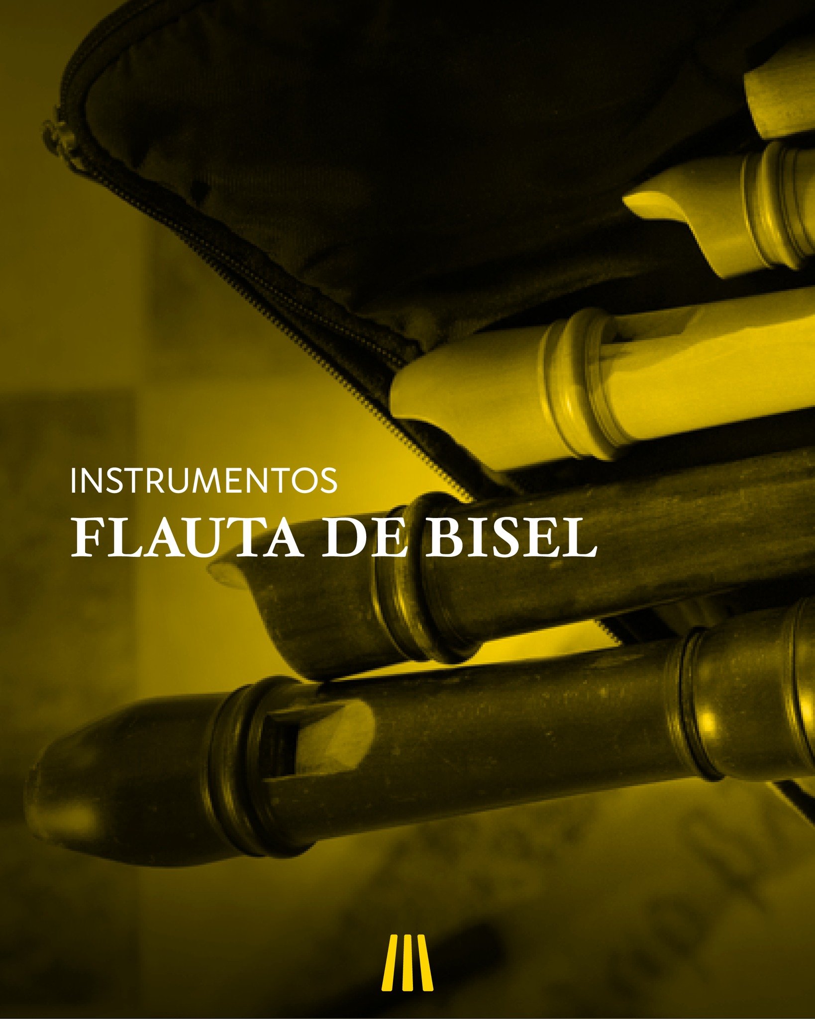 Instrumentos | Flauta de Bisel

#melleoharmonia #flautabisel #instrumentos #musicaclassica