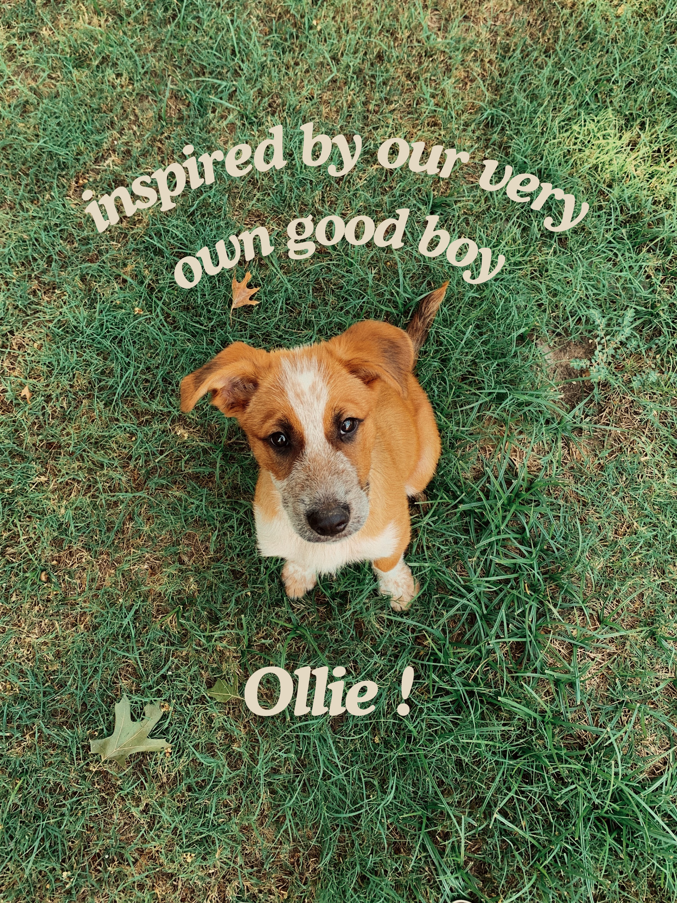 lowerinspired by our very own good boy.png