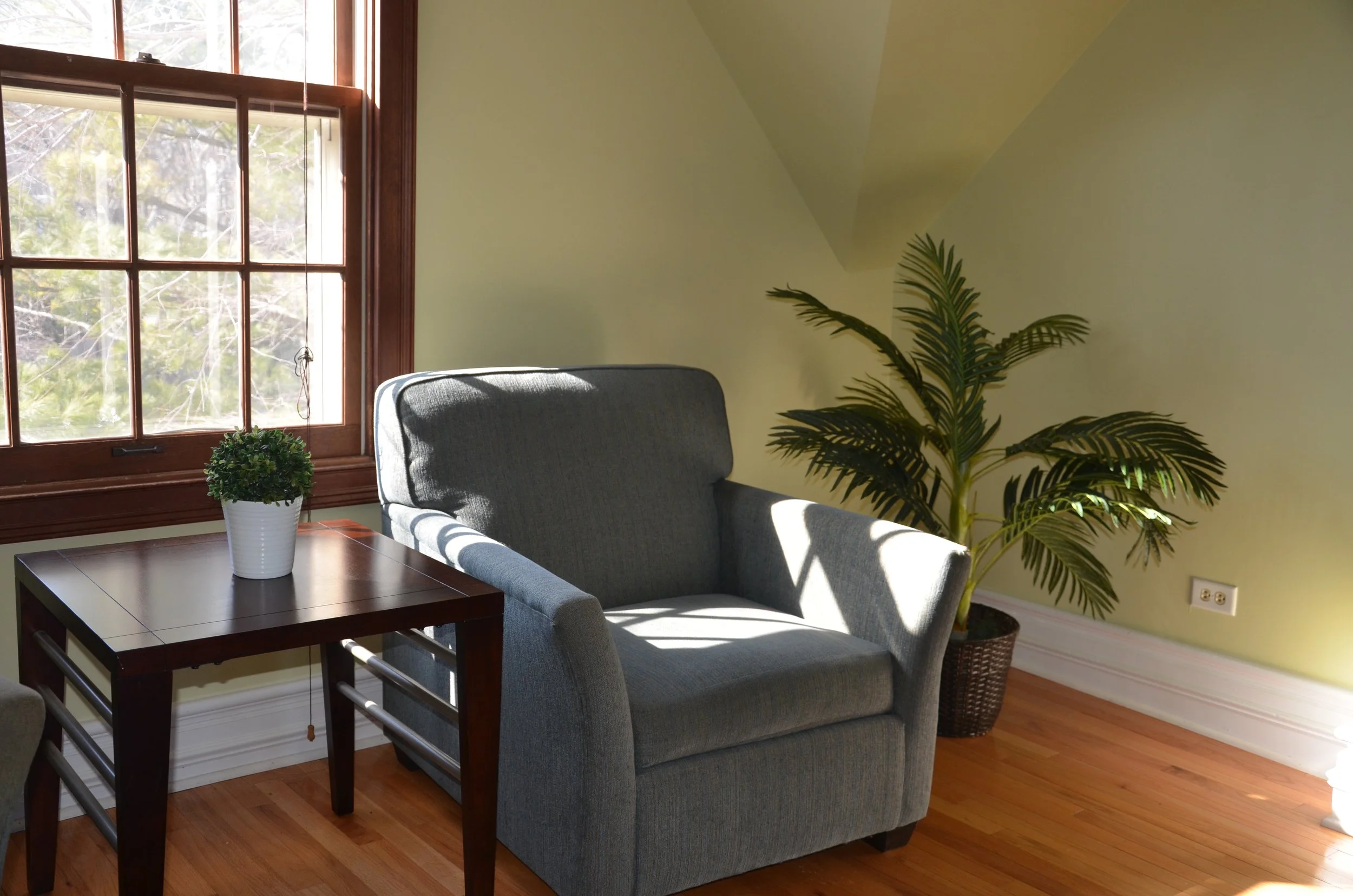 Sunlight coming through a window illuminating a gray armchair, a small wooden table with a potted plant, and a large potted palm in a corner against a light green wall.