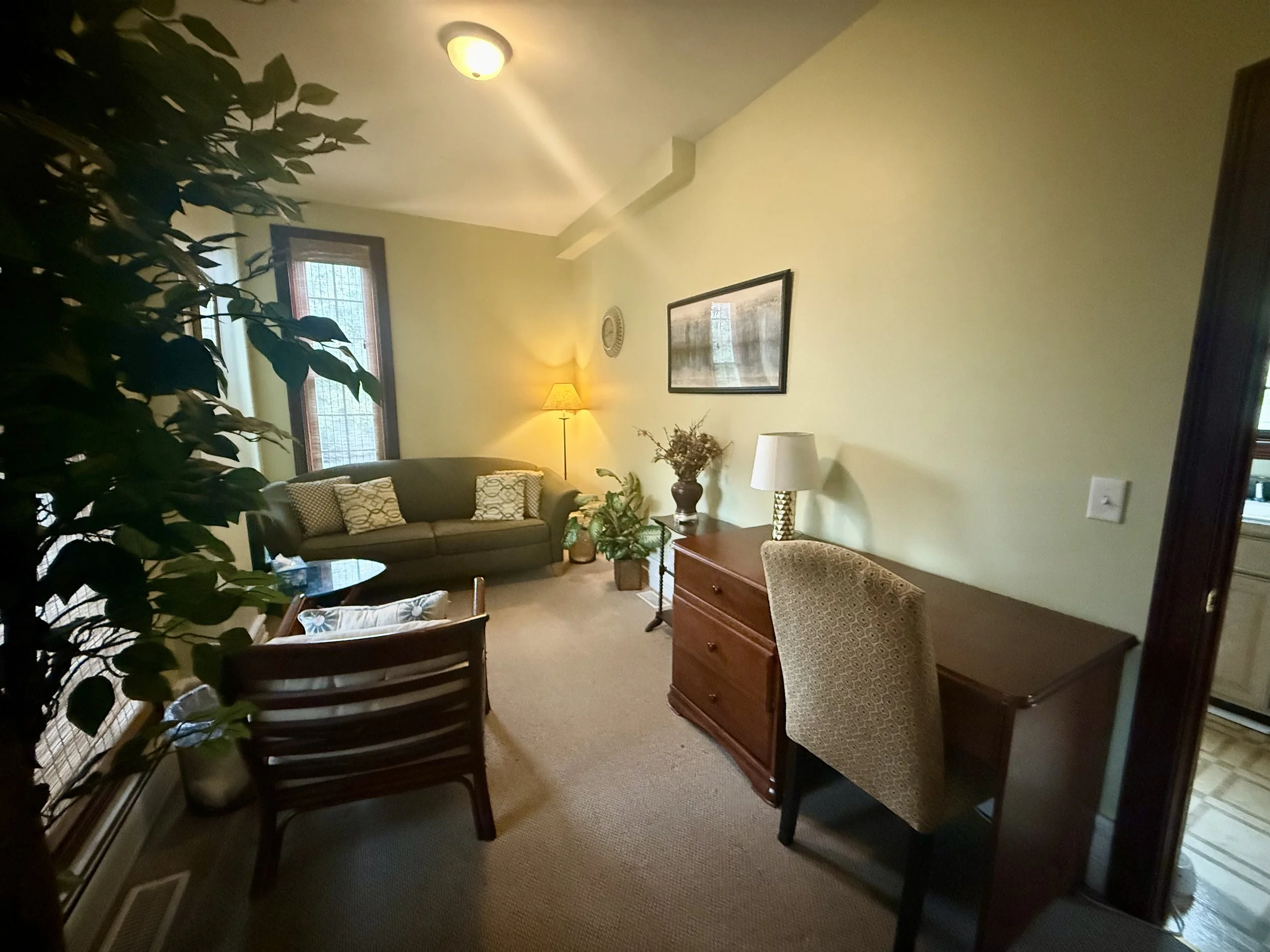 Living room with sofa, armchair, side table, desk, lamps, and houseplants.
