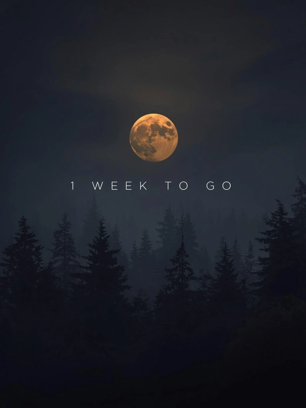1 week to go. Full Moon Circle.
On Nov 6, we’ll gather to pause, reflect, and explore Ikigai in midlife.
Register now to receive your Cultivating Ikigai Values guide + bonus worksheet.
(Link in bio)
#FullMoonCircle #MidlifeRenewal