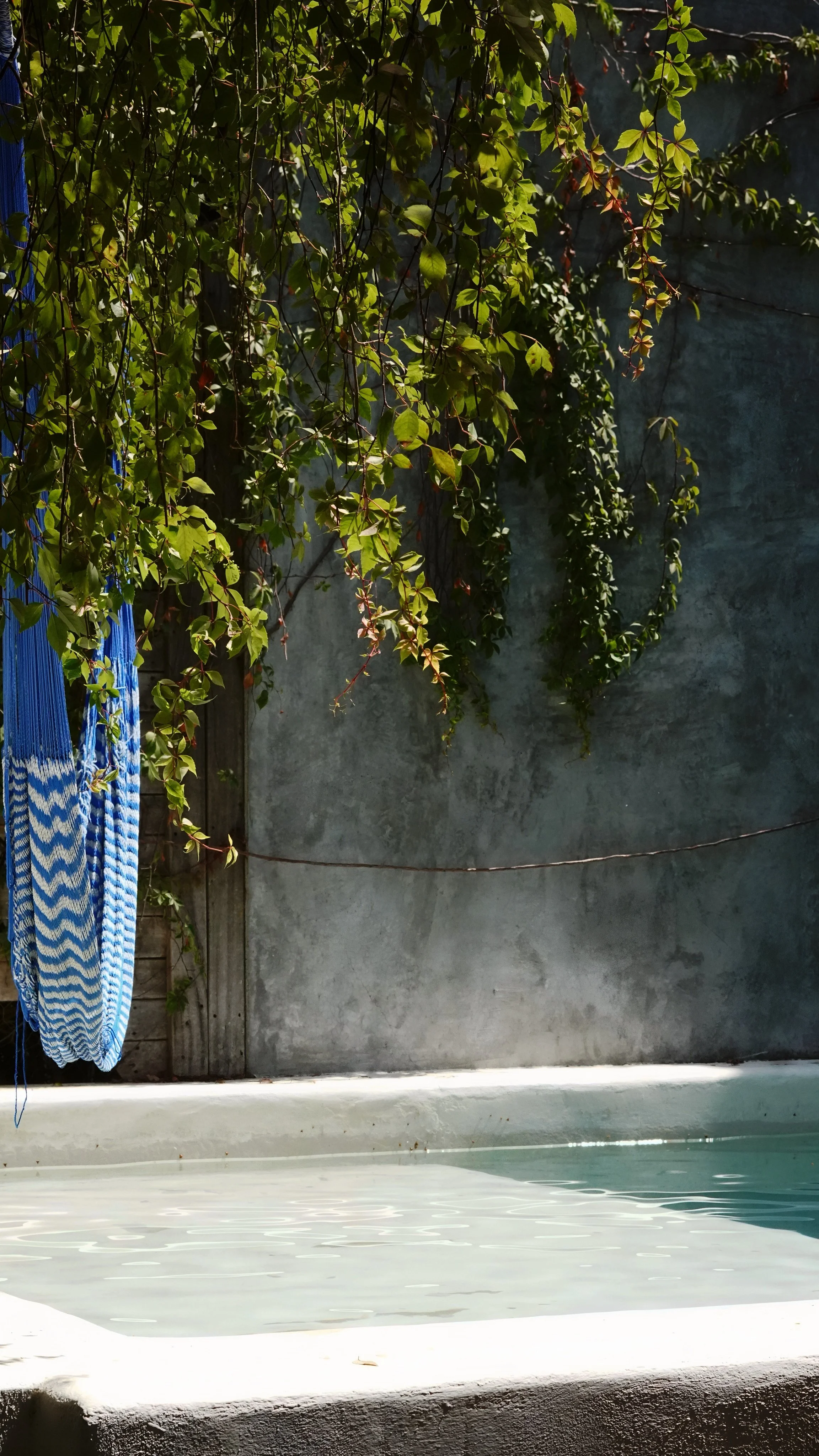 pool_puertoescondido_hostal_2.jpeg