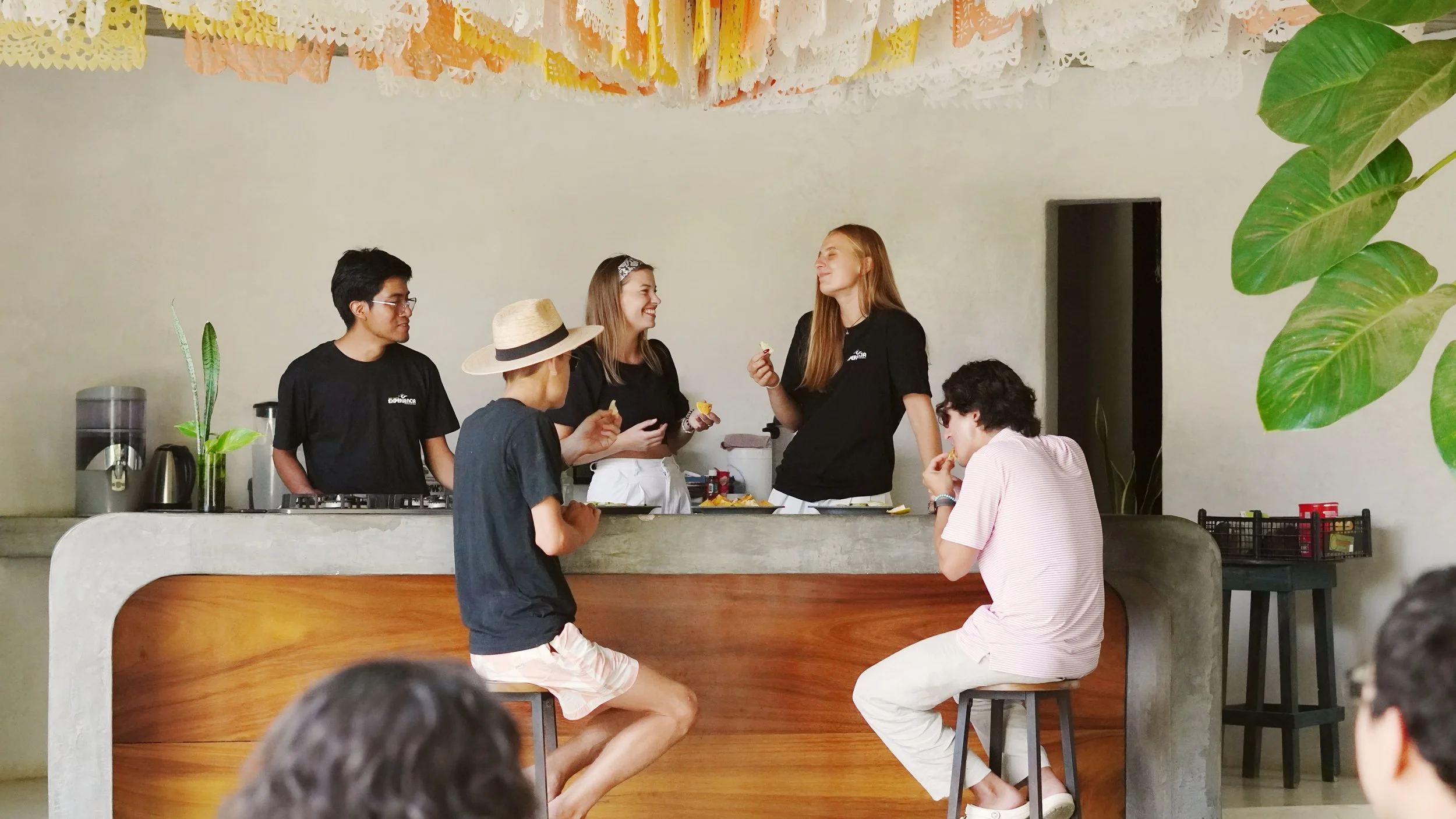 hostel_experiencia_puerto_escondido.jpeg