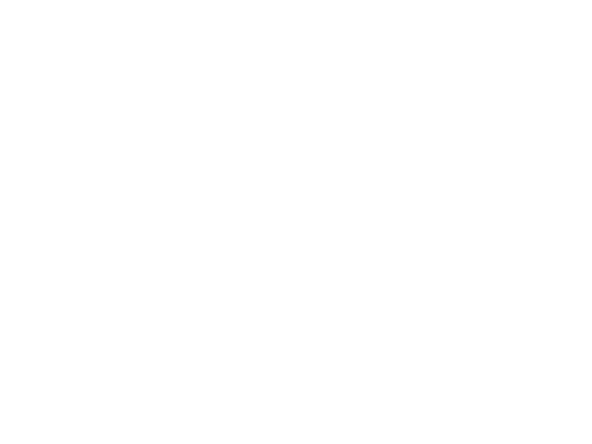 logo_Air Chathams.png