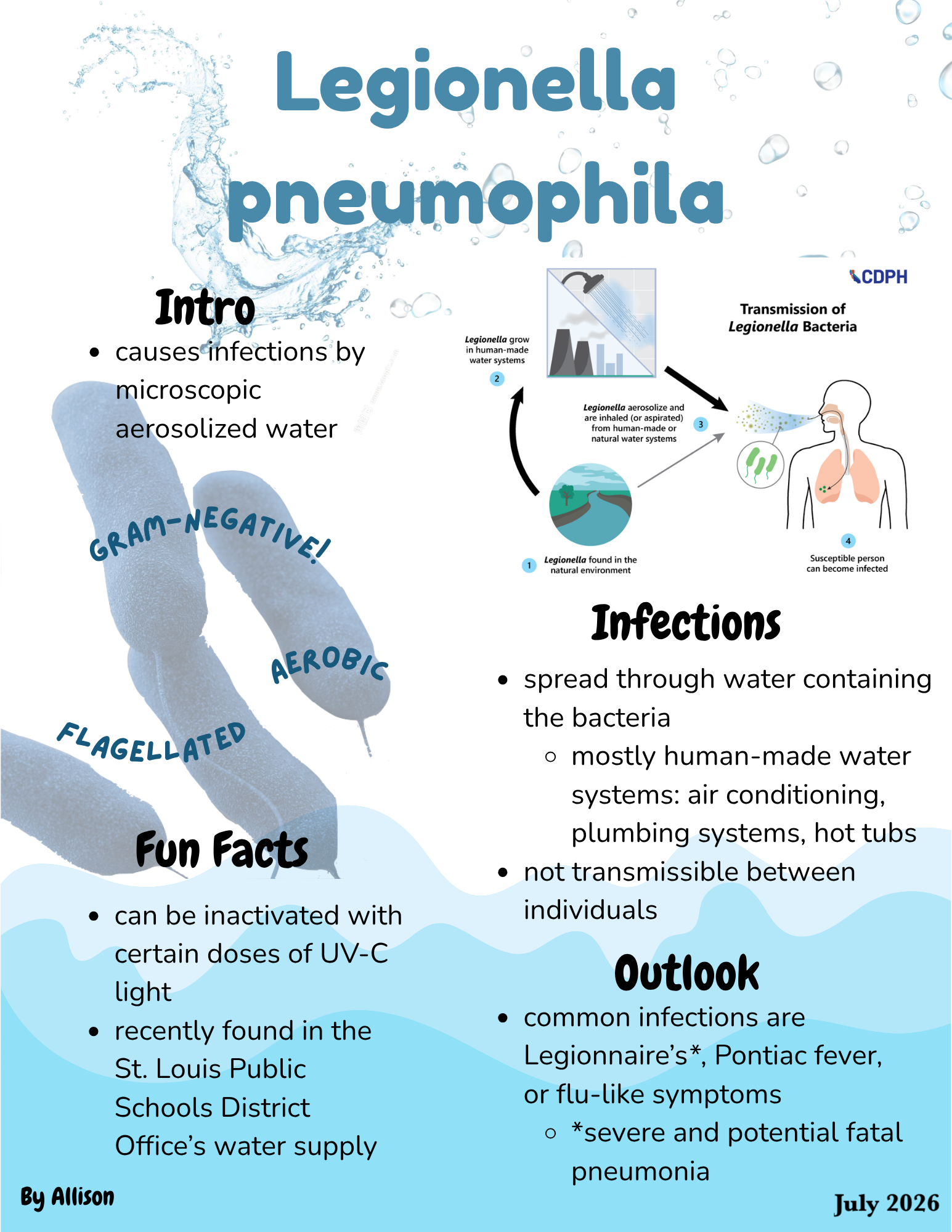 July_2026_Legionella_pneumophila.png