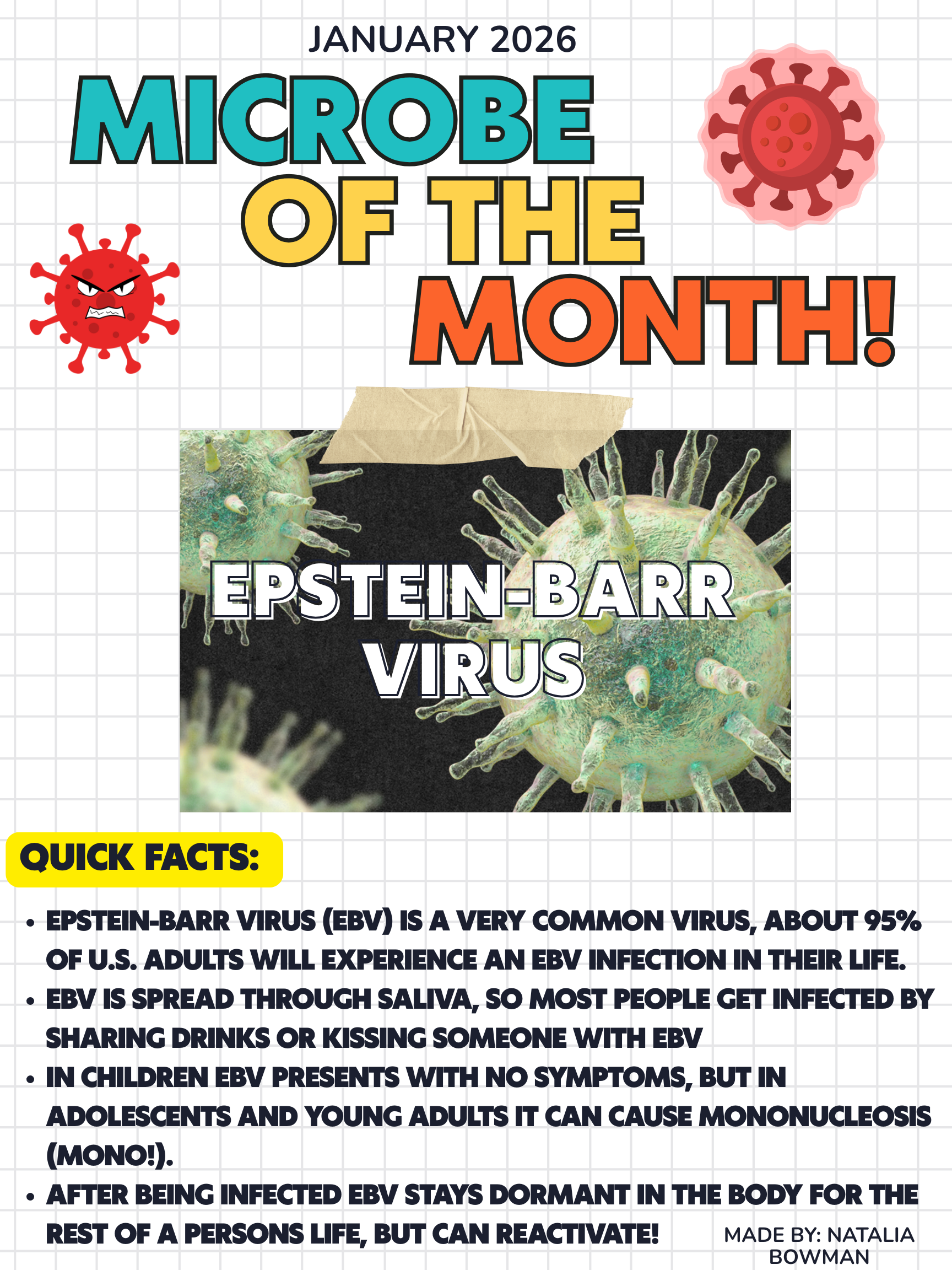 January2026_Epstein-Barr_Virus.png