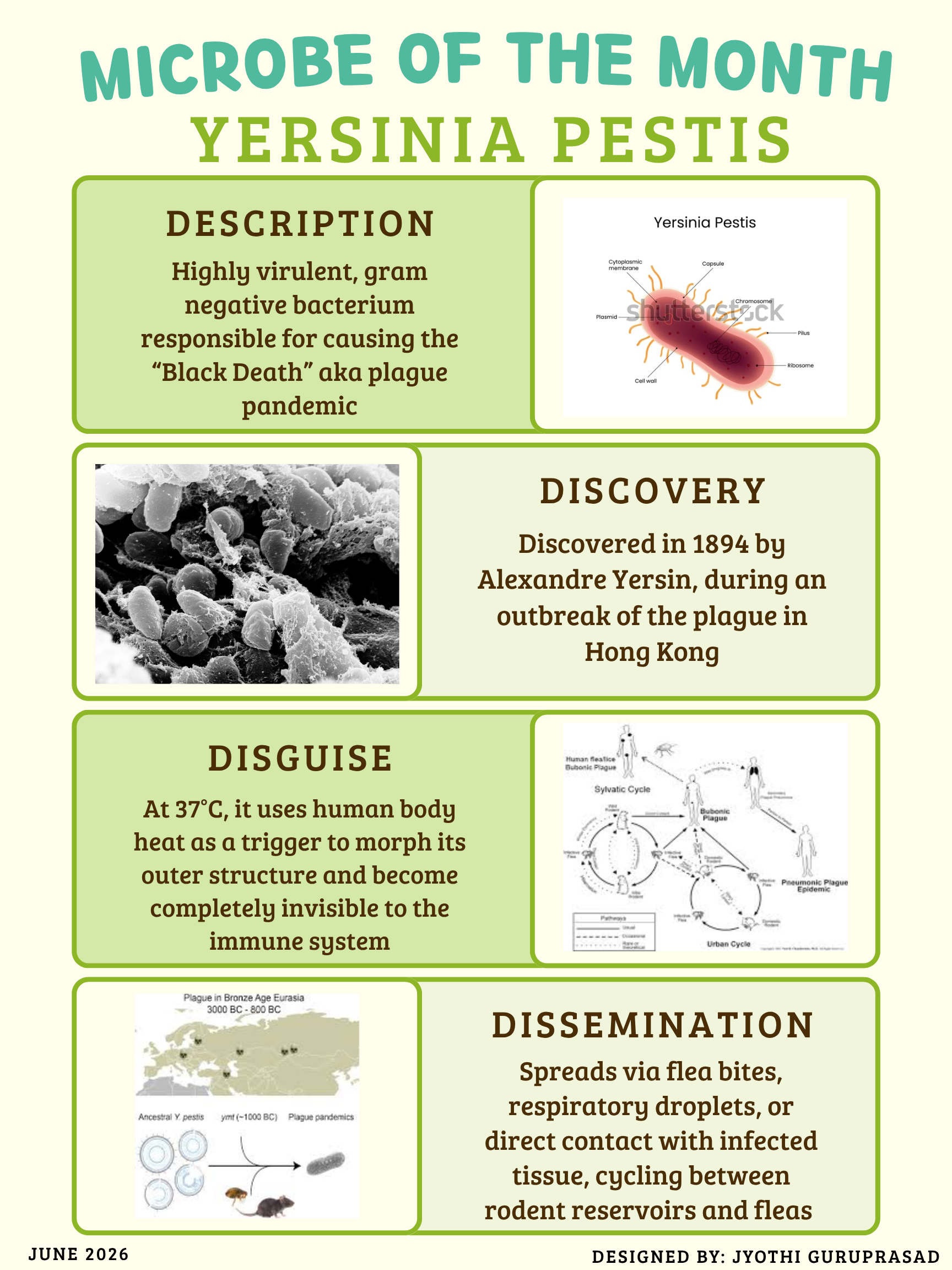 June_2026_Yearsinia_pestis.png