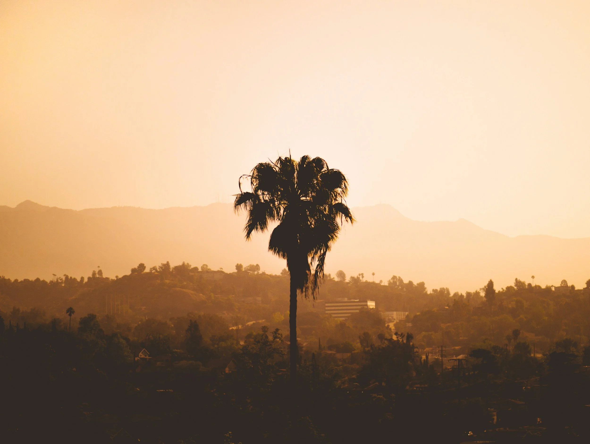 unsplash-image-tP7fvu08uEk.jpg