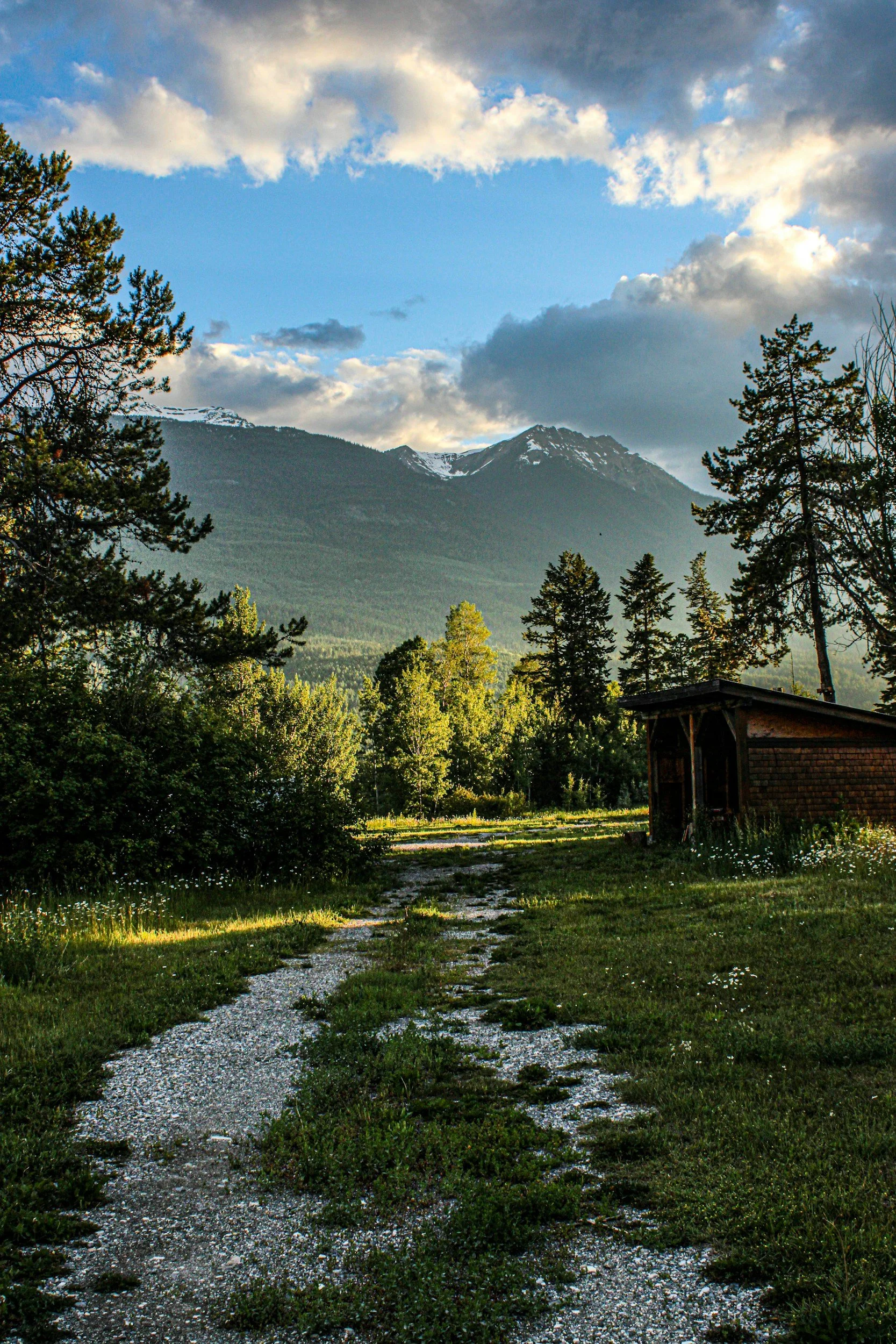 A scenic mountain landscape with a gravel path leading towards forest and snow-capped mountains in the background under a partly cloudy sky.