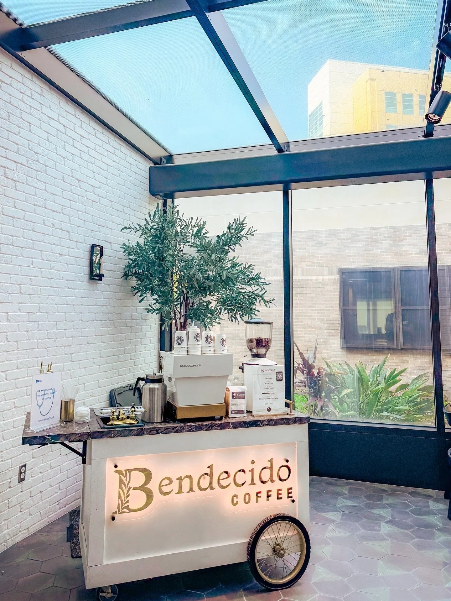 Coffee cart with the sign 'Bendecido Coffee', a large potted plant, and coffee-making equipment, set in a glass-enclosed space with a brick wall and windows.