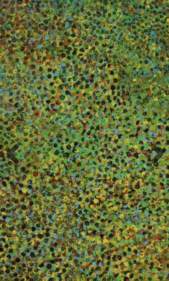 Emily Kam Kngwarreye