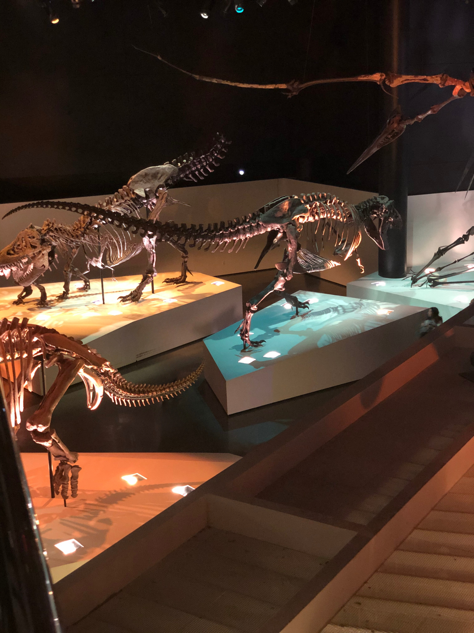 Untitled design-42.png