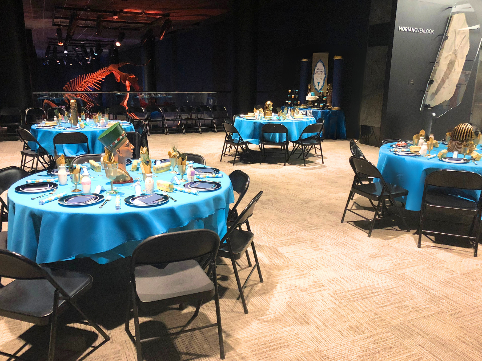 Untitled design-54.png