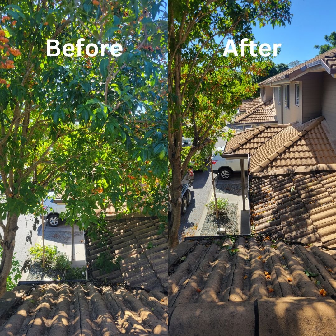 Comparison photo showing a tree before and after trimming. The 'Before' side has dense, overgrown branches and leaves hanging over house and gutters, while the 'After' side shows a pruned tree with fewer branches and more sunlight.