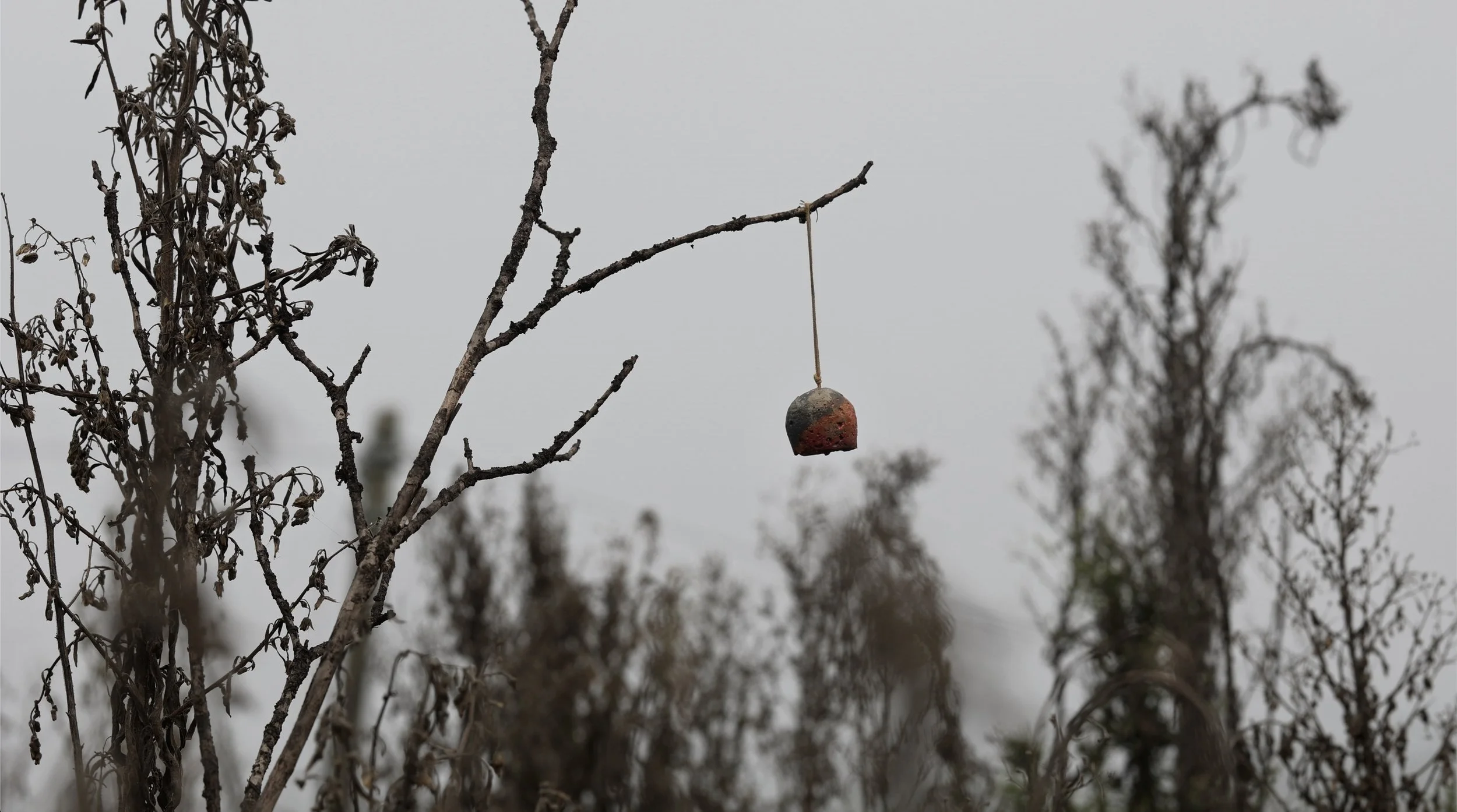 Wind Bell 2021 — Long Pan