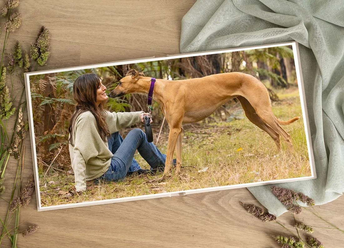 album-greyhound.jpg