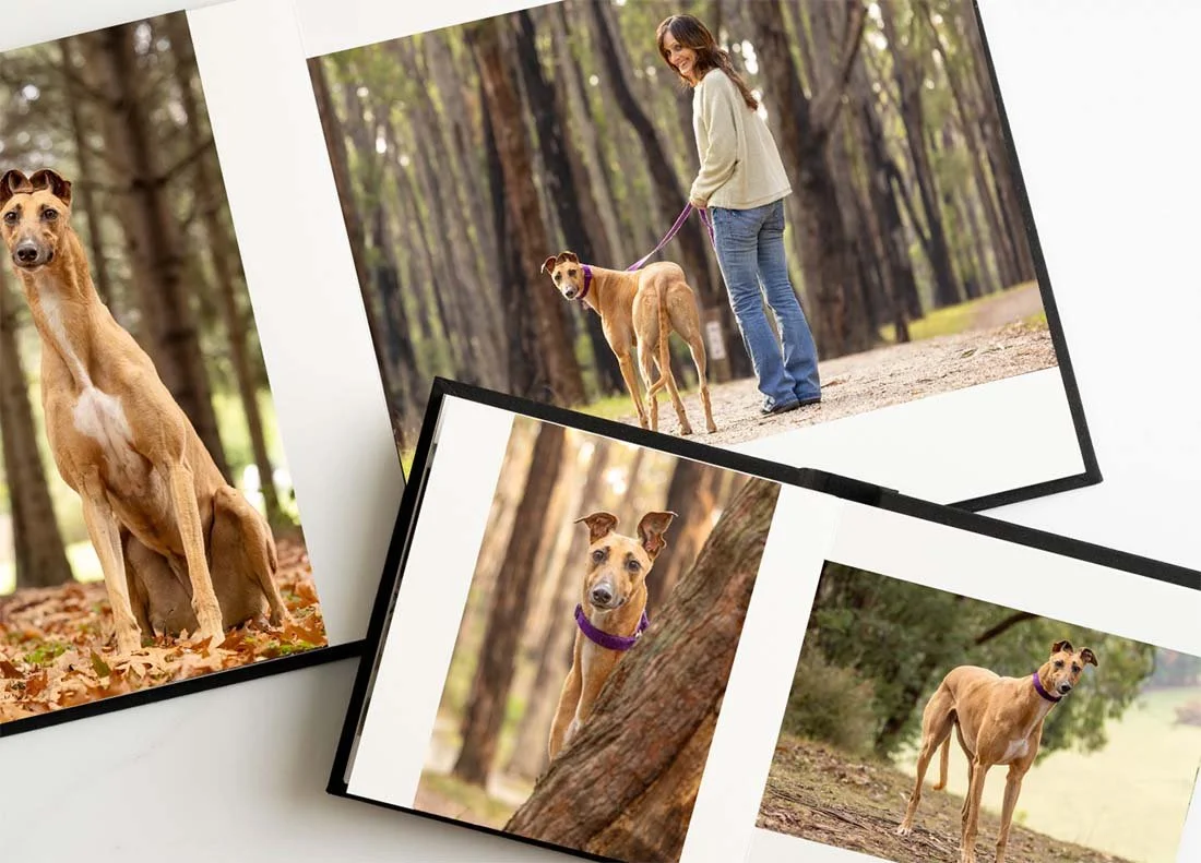 album-inside-greyhound.jpg
