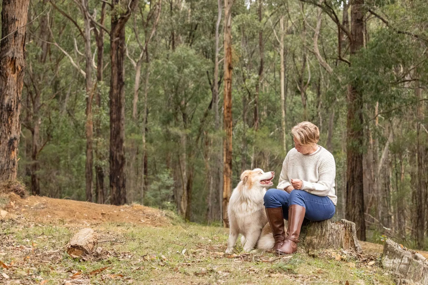 mum-dog-border-collie.jpg