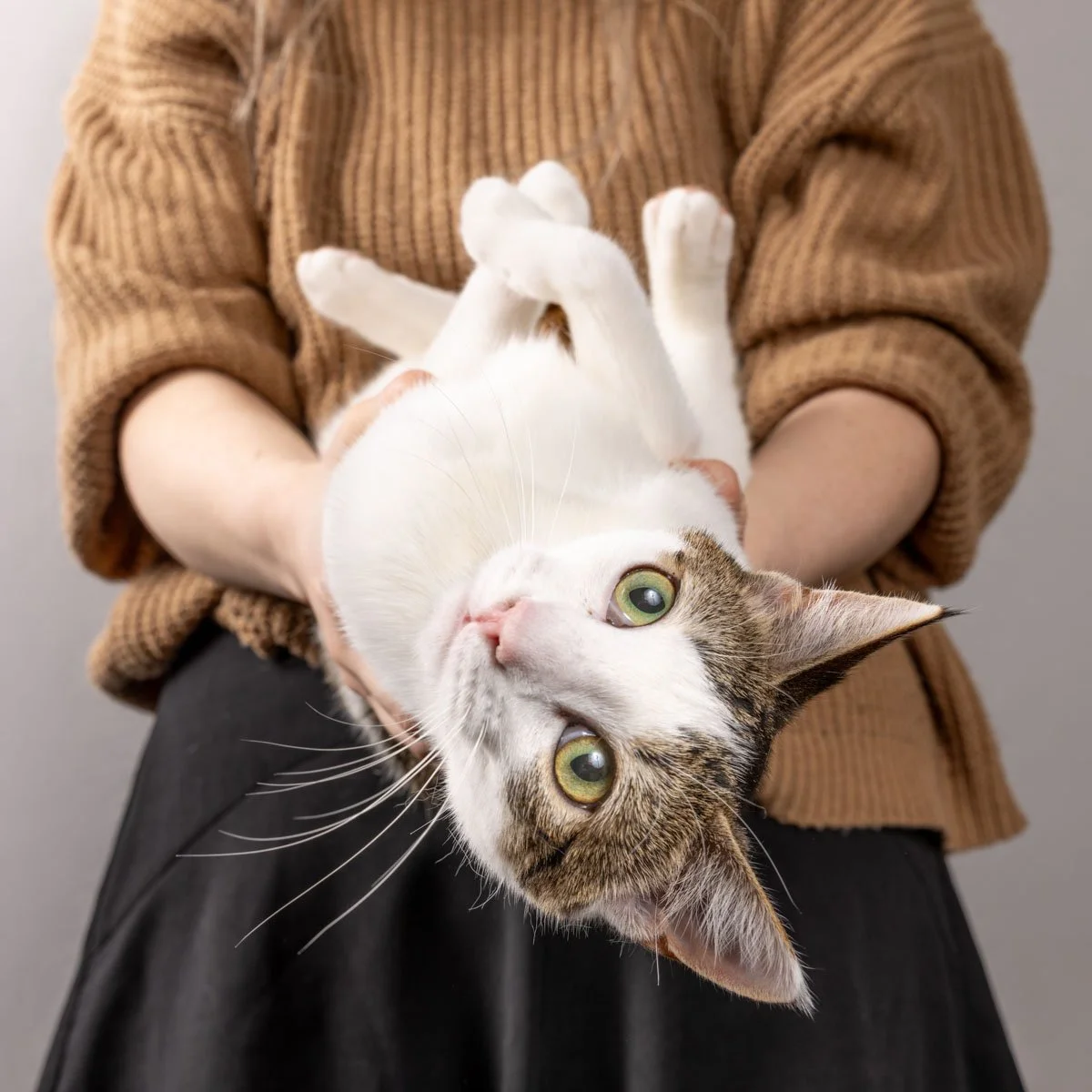 tabby-cat-mum.jpg