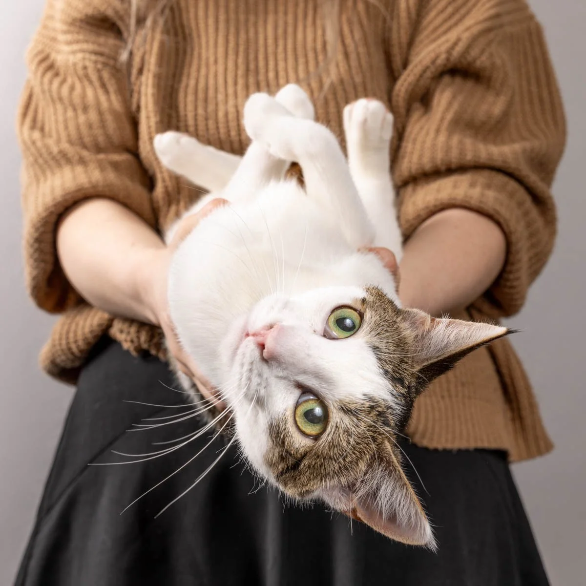mum-cat-hold.jpg
