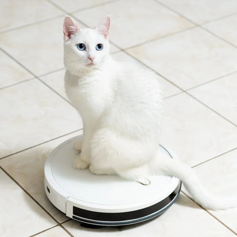 cat-roomba-square.jpg