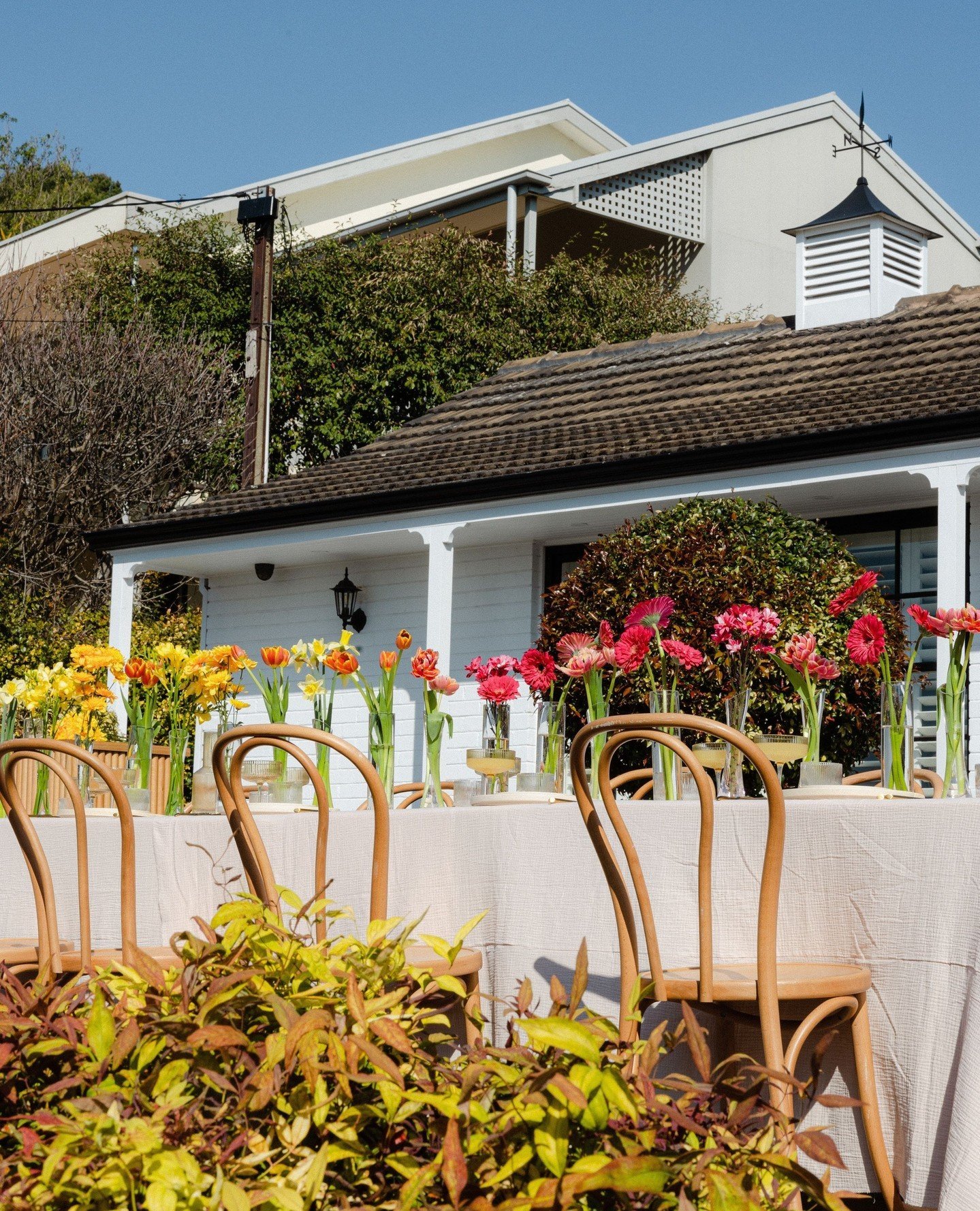 Gorgeous weather and even better company!⁠
⁠
Your next summer event could look a little like this one, with gorgeous florals and outdoor dining.⁠
⁠
Enjoy the sunshine alongside your guests and dig in to a menu curated just for you.⁠
⁠
Get in touch wi