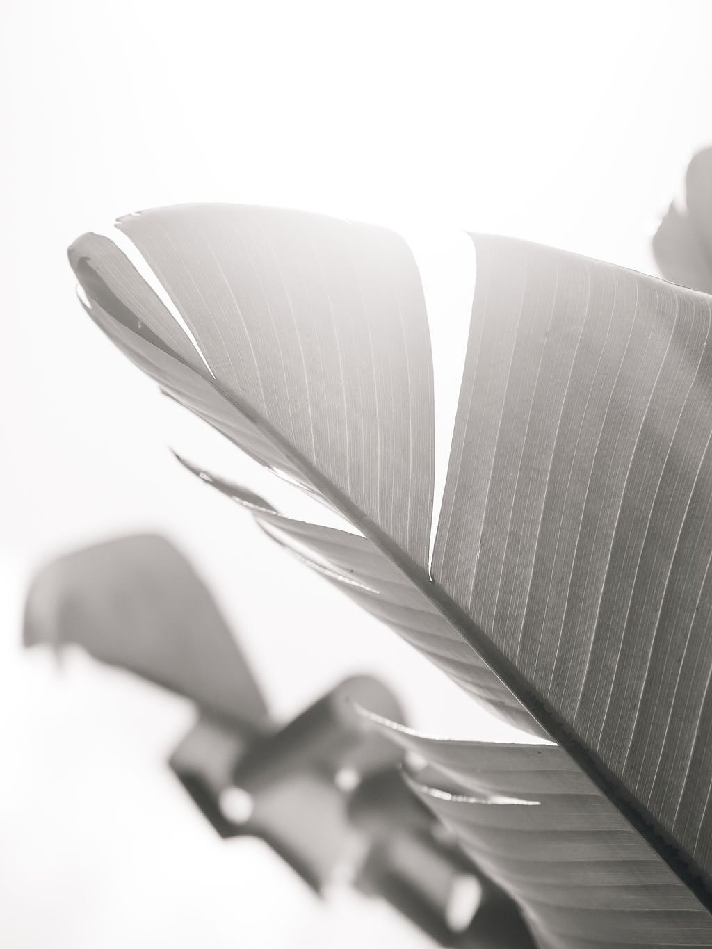 A new mountain escape. Slow mornings, sun-drenched afternoons, and effortless style...

#rainforestcool #itwasallatamborinedream #checkintocheckout #weareone #destinationscenicrim #thetamborine #boutiquehotel #mounttamborine #scenicrim @katherineandc