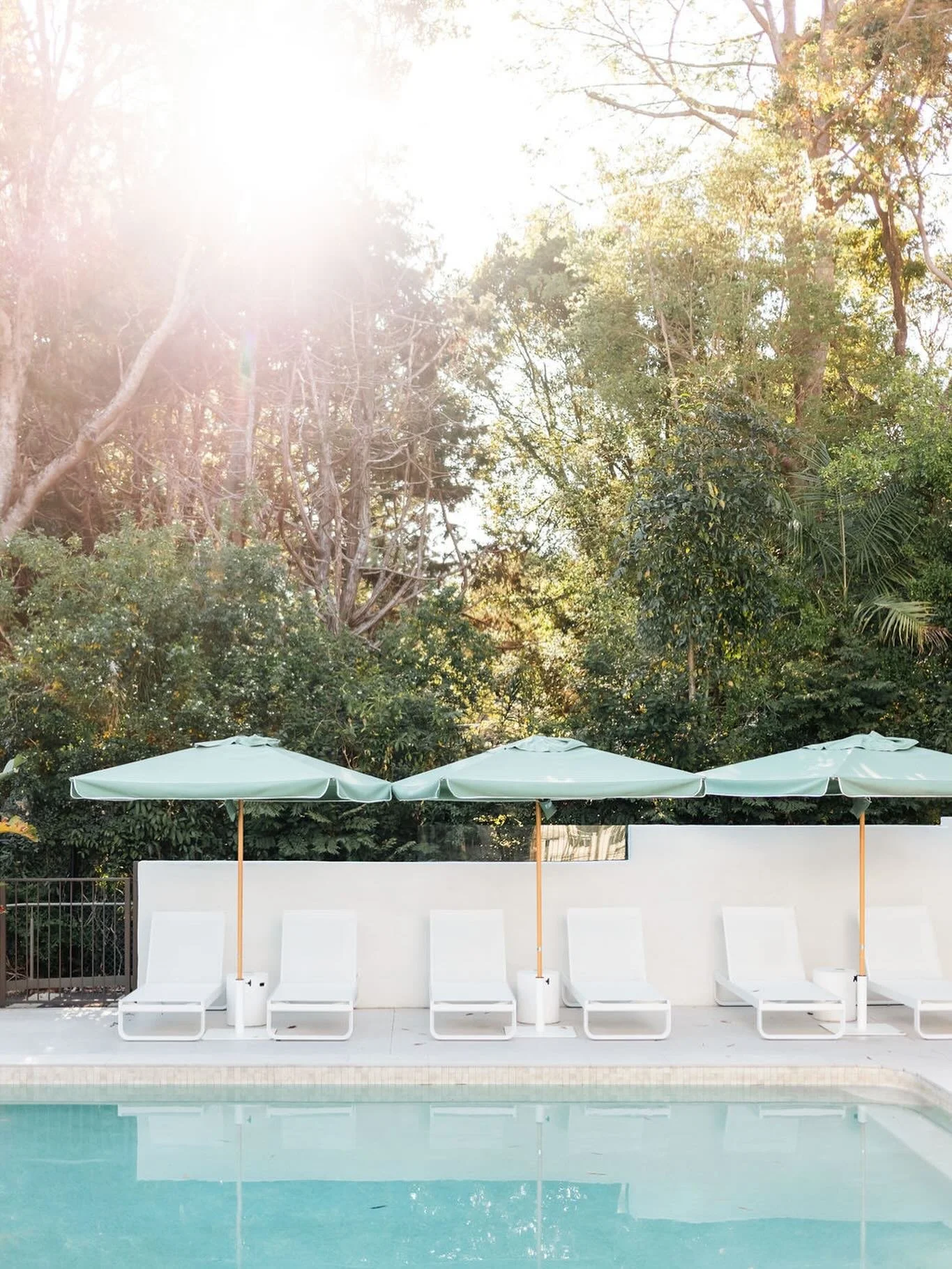 The Tamborine's beauty lies in its relationship with the World Heritage rainforest, and surrounds. 

#rainforestcool #itwasallatamborinedream #checkintocheckout #weareone #destinationscenicrim #thetamborine #boutiquehotel #mounttamborine #scenicrim @