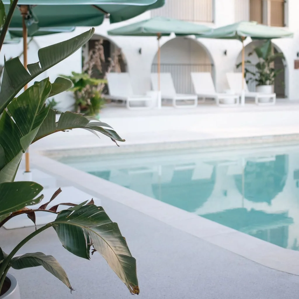 Morning swims, warm rays, clear skies and rainforest cool - this is what Tamborine Mountain is all about 🍃

#rainforestcool #itwasallatamborinedream #checkintocheckout #weareone #destinationscenicrim #thetamborine #boutiquehotel #mounttamborine #sce