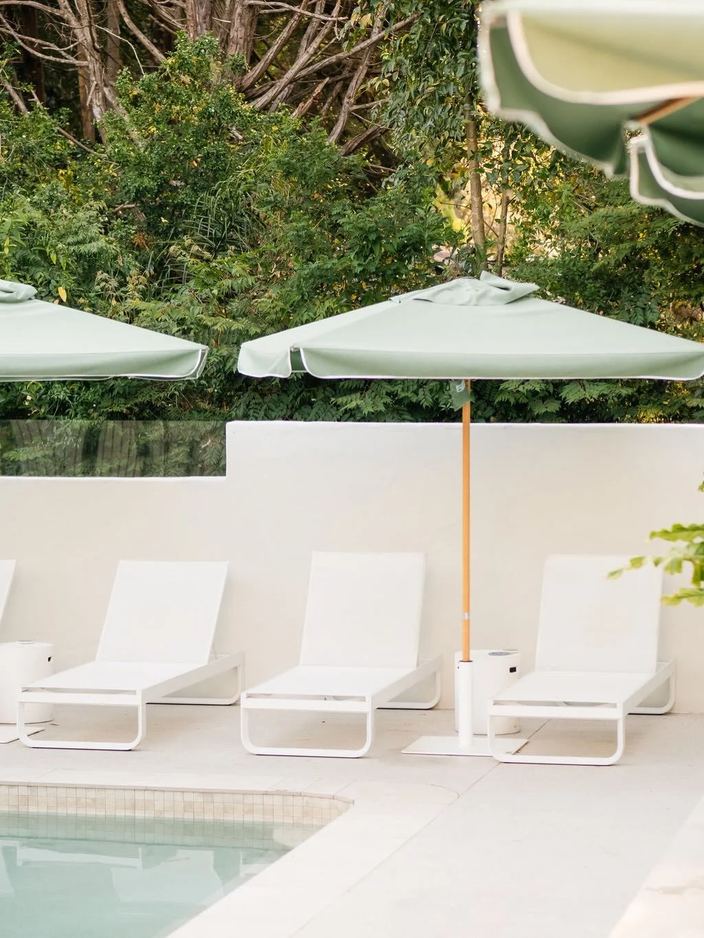 Browse our boutique wine list, moreish bar menu and settle in with a sunset cocktail at Peacock O'clock with plenty of rainforest air to share. 🌅🍃

#itwasallatamborinedream #checkintocheckout #thetamborine #boutiquehotel #scenicrim