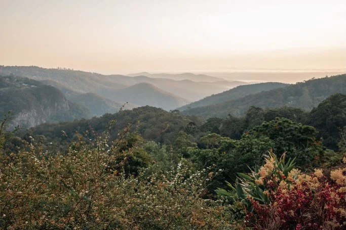 As the Summer crowds drift away, there is a new magic in the promise of our favourite season (Autumn) on Tamborine Mountain. 

Trust us, discover what the fuss is all about. 🌿🍂

#itwasallatamborinedream #checkintocheckout #thetamborine #boutiquehot