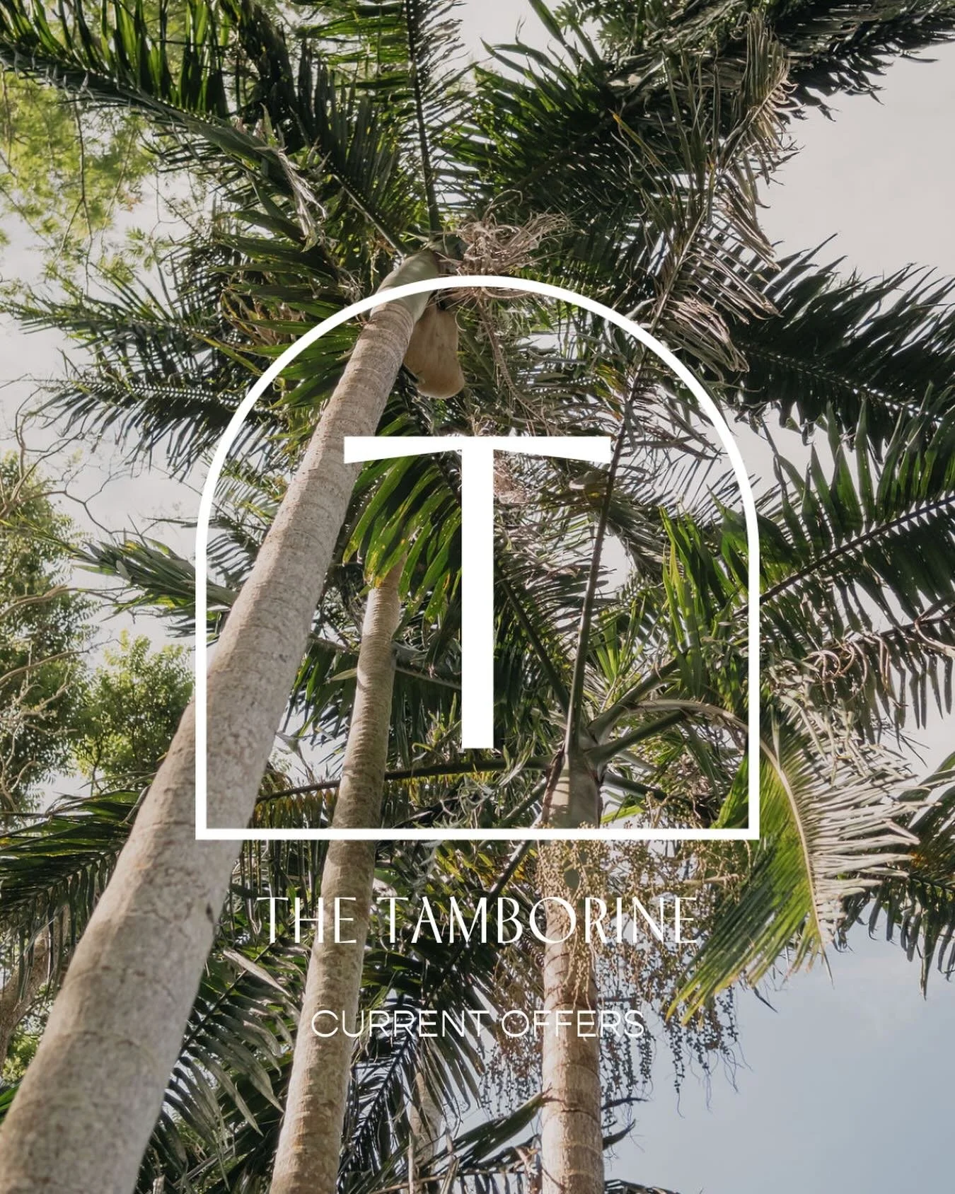 Best Direct Rate 🌿

When you book directly with The Tamborine, you&rsquo;re guaranteed the best available rate for your stay.   By reserving through our website, you&rsquo;ll enjoy our most competitive pricing, along with the confidence that you&rsq