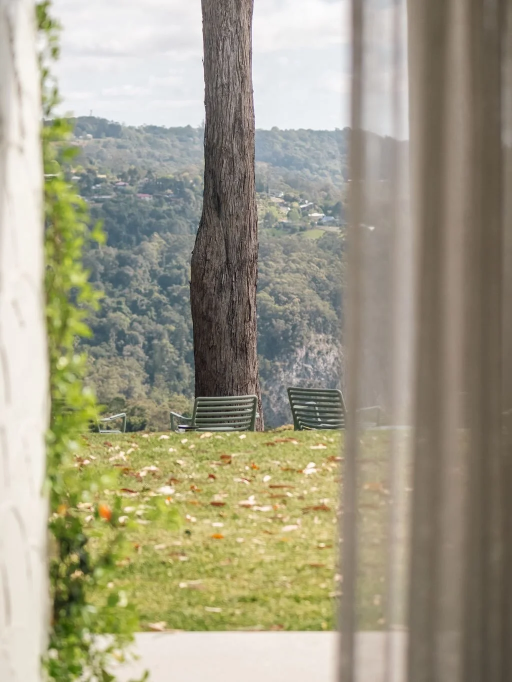 All of the elements for a perfect day amongst Gold Coast hinterland magic. 🌿

Come and celebrate a new season at The Tamborine. 

#itwasallatamborinedream #checkintocheckout #thetamborine #boutiquehotel #scenicrim