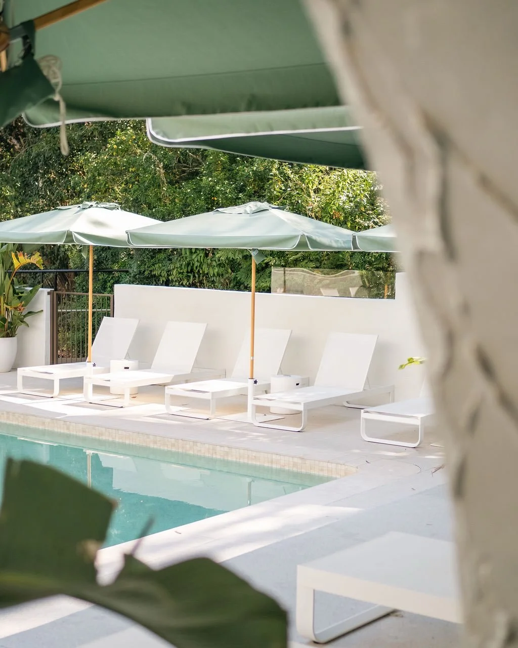 A signature Tamborine experience. 🍃

A sparkling, year-round heated mineral pool set against the hinterland air, paired with beautifully considered indoor&ndash;outdoor lounge spaces designed for lingering moments.

Where every detail is curated for