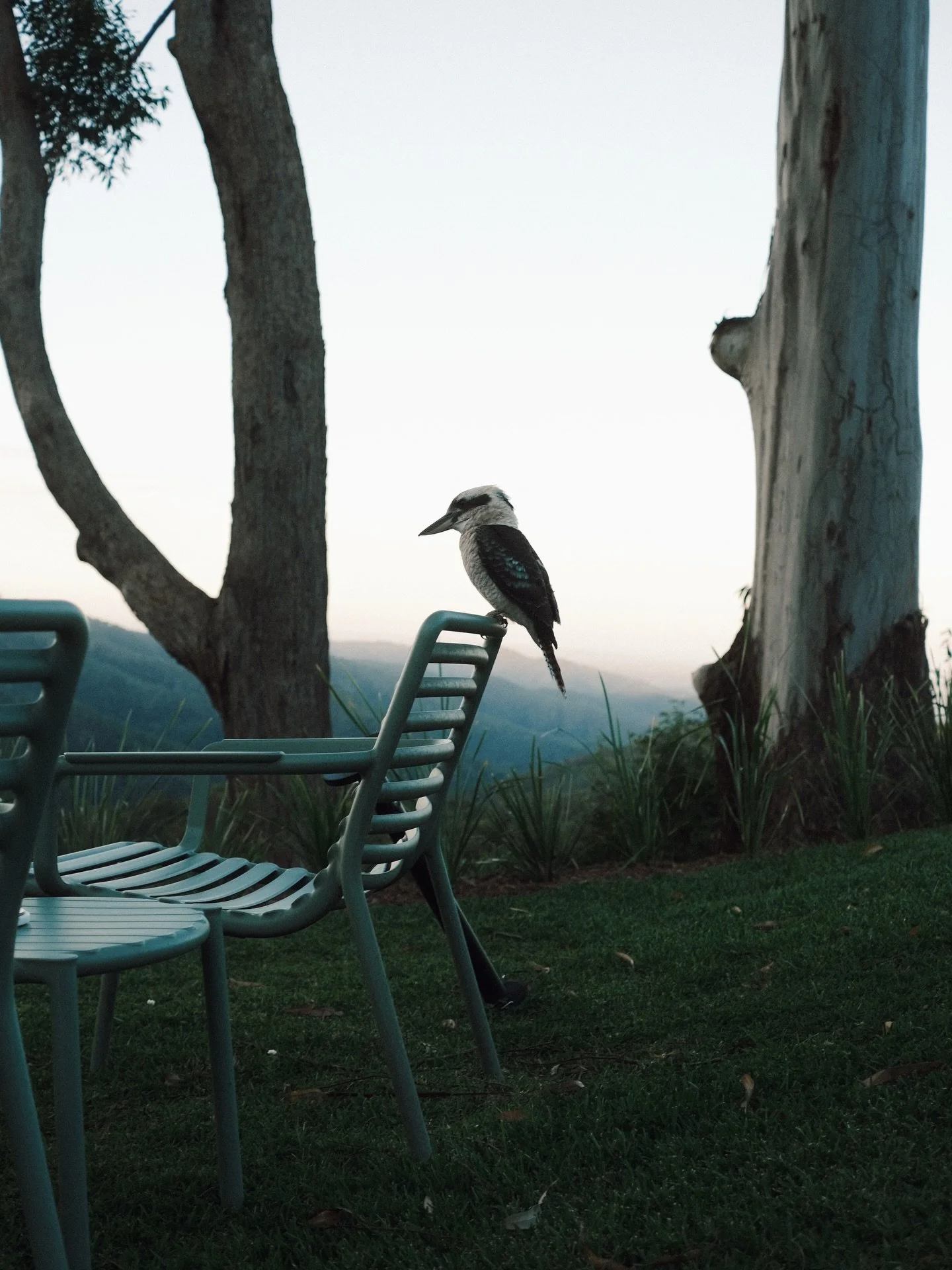 Ravishing views and lush greenery, Mother Nature at her finest. 🍃

Tamborine Mountain is the unexpected escape you didn&rsquo;t know you needed. The ultimate setting to unplug, let go, and simply be. 

#itwasallatamborinedream #checkintocheckout #th