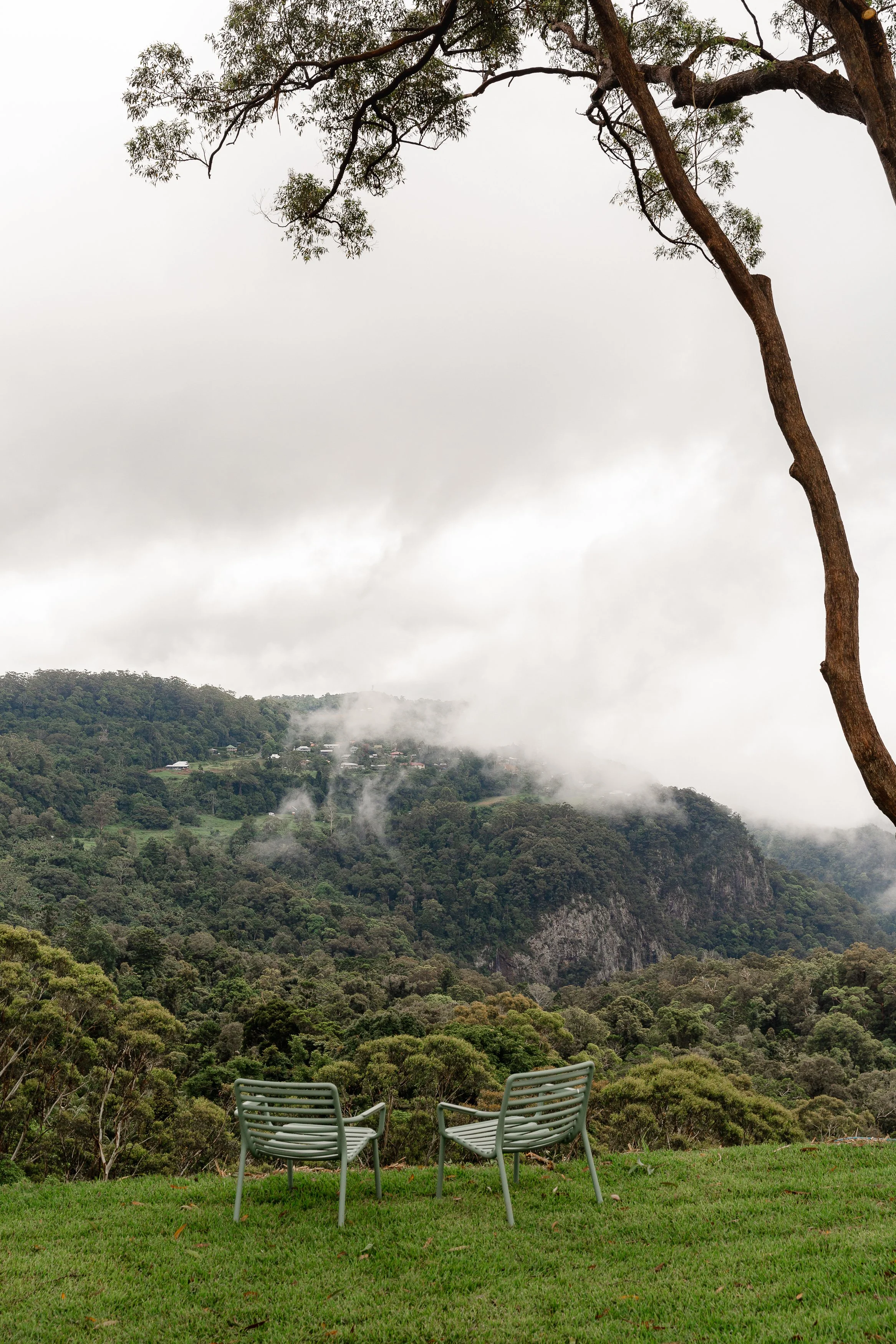 The Tamborine_12-2024-HR-6886.jpg